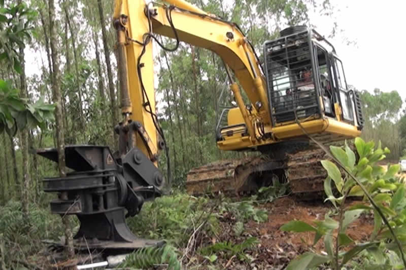 Tree Removal & Land Clearance - Landworks Contracting - Sunshine Coast