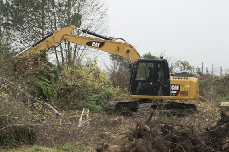 Tree Removal